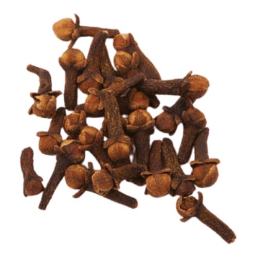 Clove (Eugenia caryophyllata)