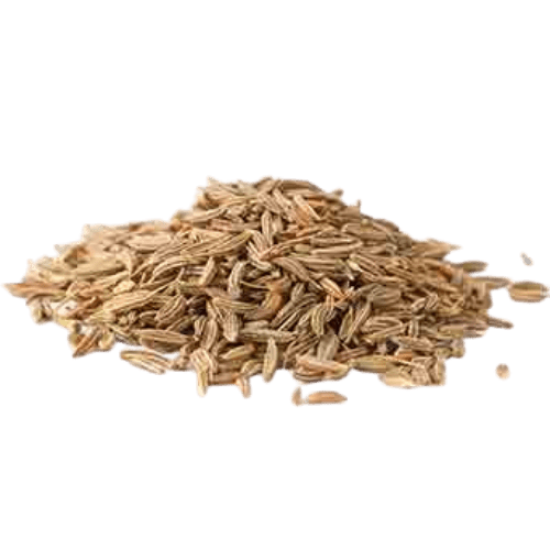 Cumin (Cuminum cyminum)