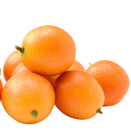 Kumquat (Citrus Japonica)