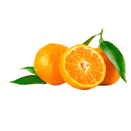Orange (Citrus sinensis)