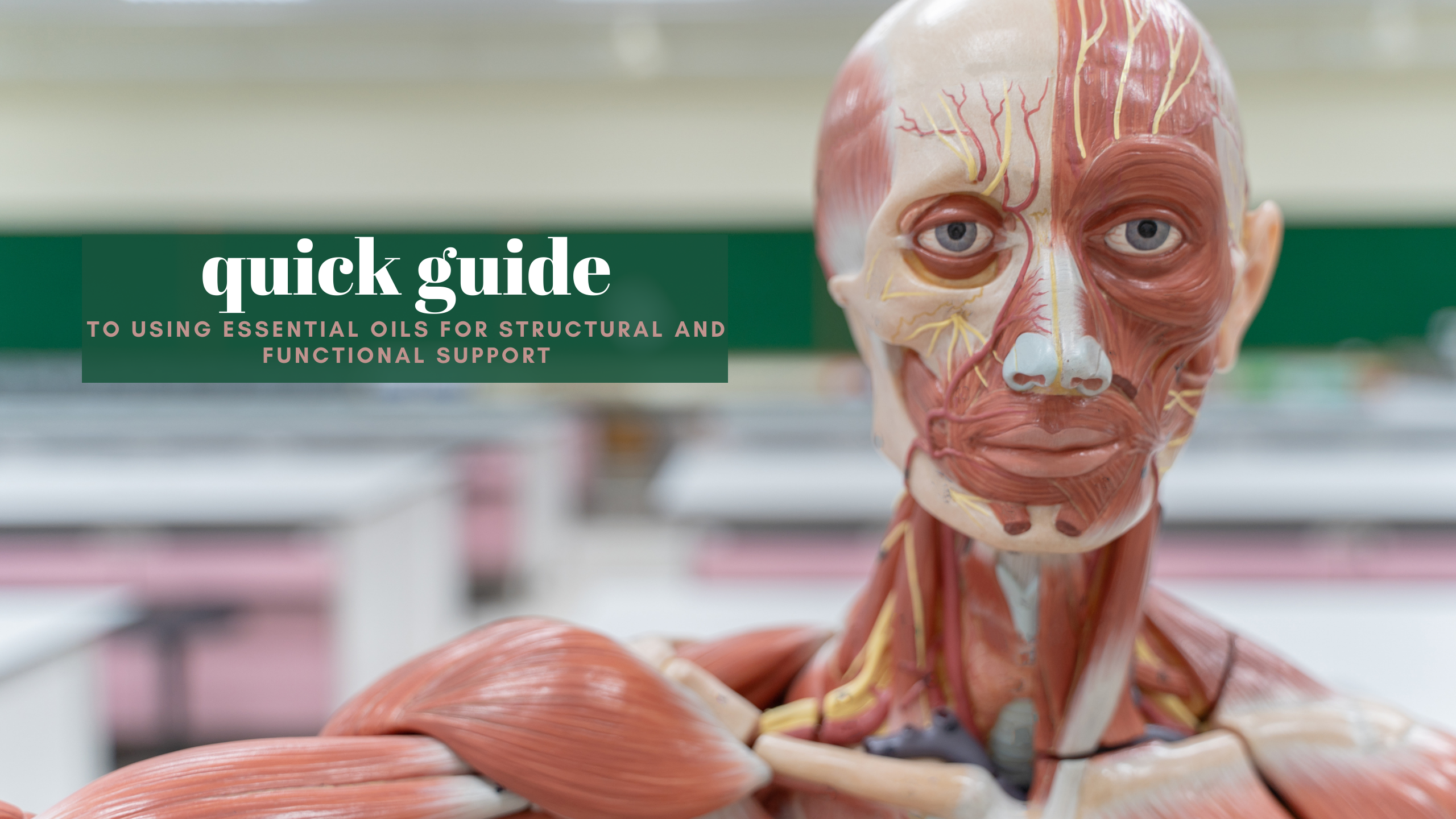 Quick Guide: Using Essential Oils for Structural and Functional Support