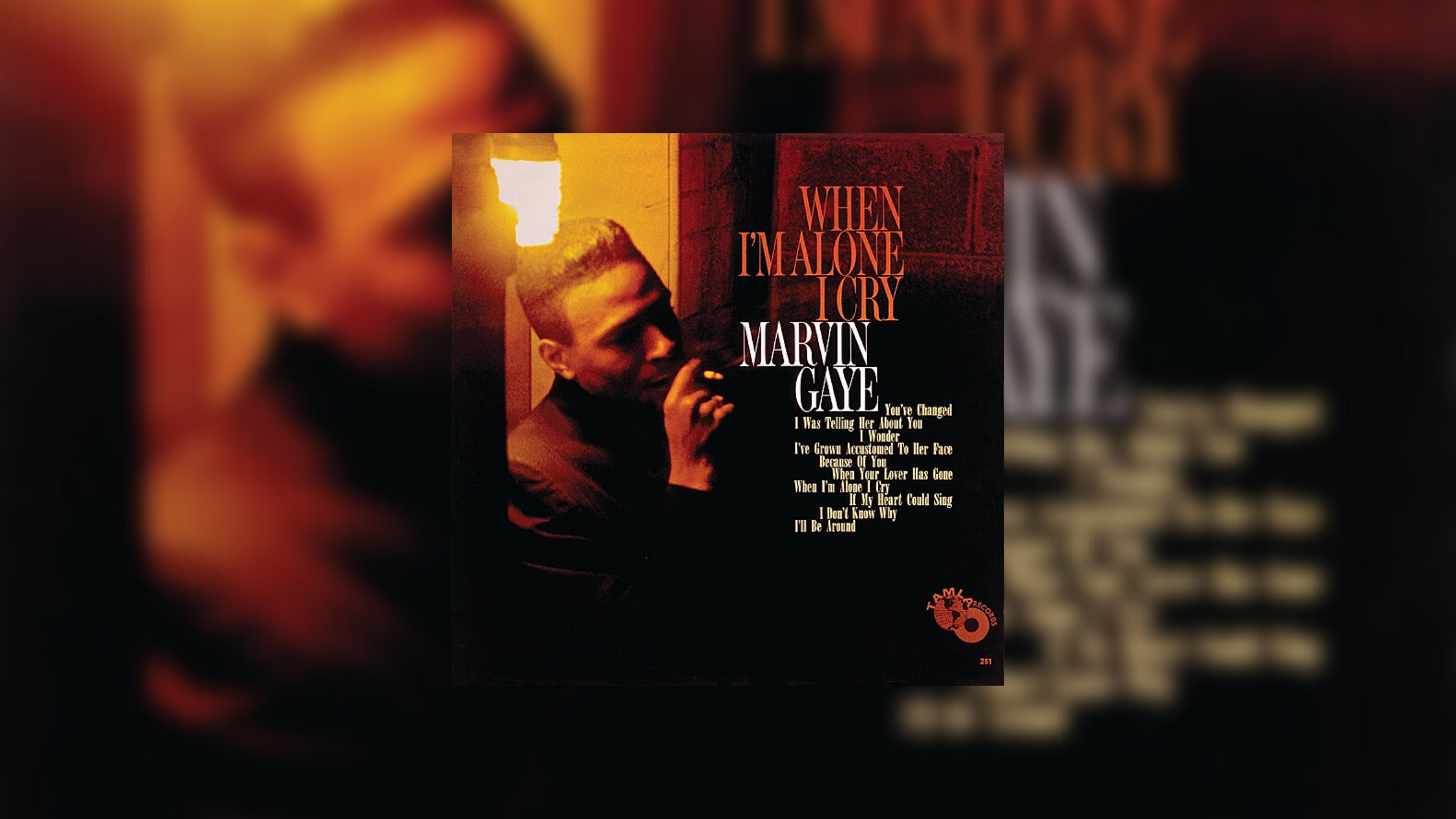 You’ve Changed Lyrics by Marvin Gaye